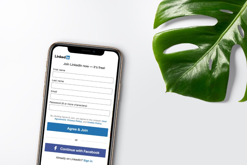 LinkedIn sign up page on mobile and green leaf on white background