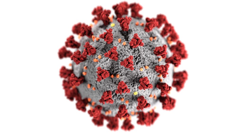 COVID-19 virus close up